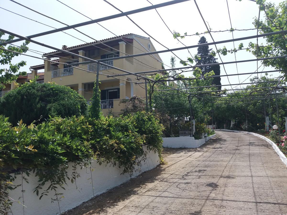 Athineos * Kommeno (Corfu)