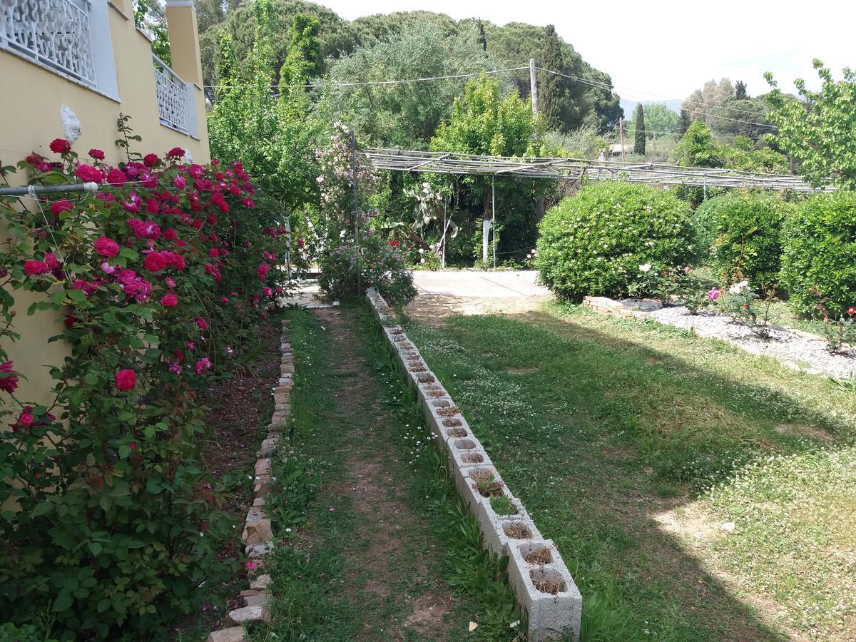 Athineos