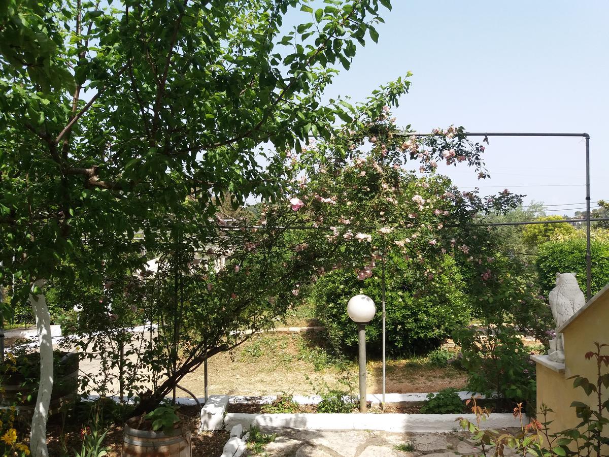 Athineos Daire Kommeno (Corfu)