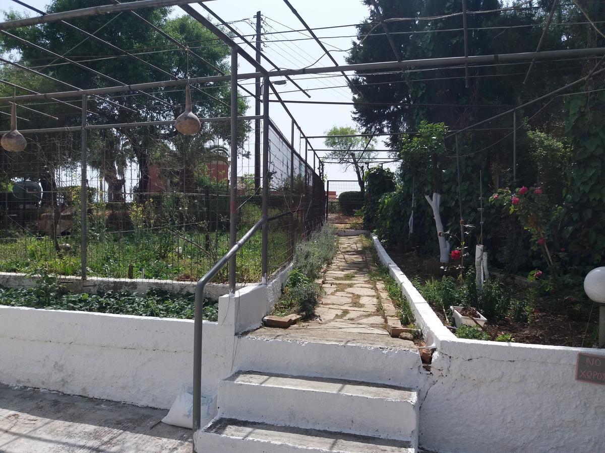 Athineos Daire *